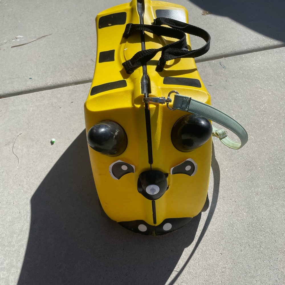-TRUNKI- bumblebee